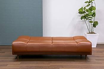 Amazon.co.jp: 【フランスベッド正規品】 ソファベッド テラ